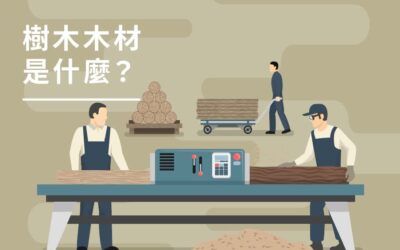 木材是什麼?深入了解,讓你變身選材高手!