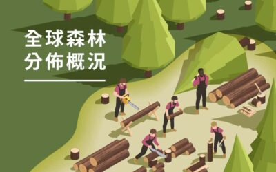全球森林資源分布:木材供應與台灣的挑戰